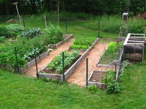 Raised Beds Vegetable Garden