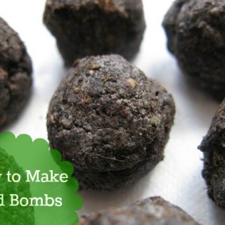 How to Make Seed Bombs