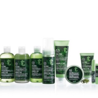 The Body Shop Tea Tree line