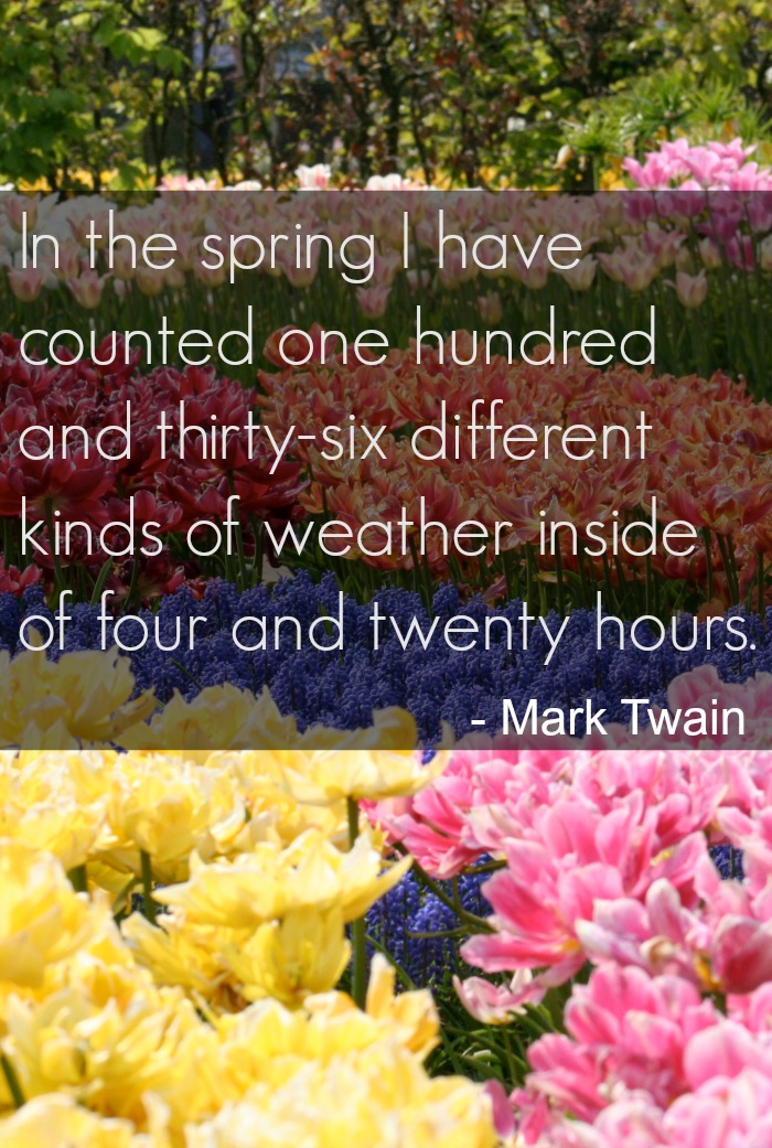 Spring And Wisdom Inspirational Spring Quotes