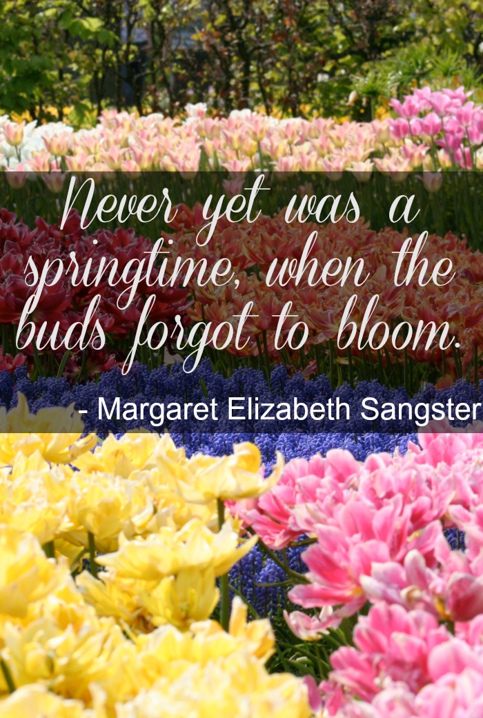 springtime-buds-bloom-quote.jpg