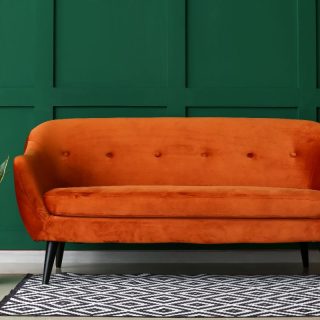 orange modern velour couch with snake plant