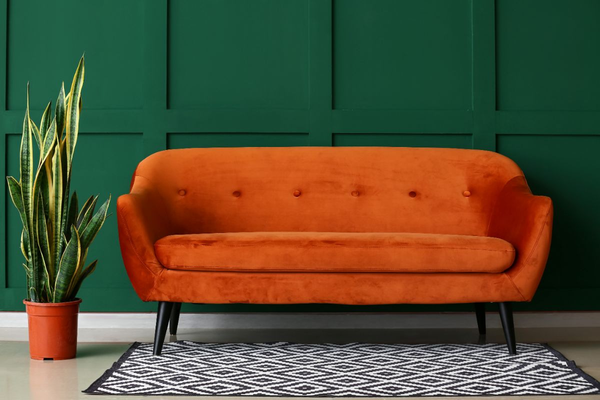 orange modern velour couch with snake plant