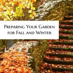 How to prepare your garden for fall and winter. | Clean up your yard | Home Maintenance