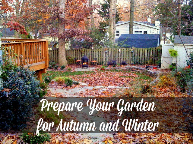 preparing-your-garden-for-fall-and-winter