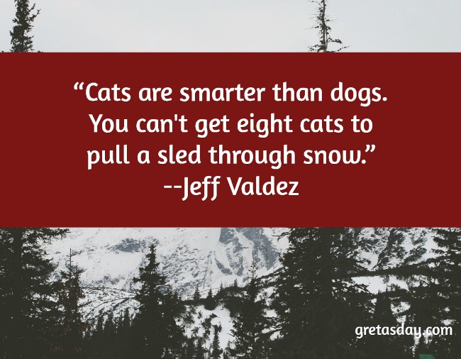 cats-are-smarter-than-dogs