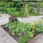 How to build a raised bed garden
