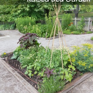 How to build a raised bed garden