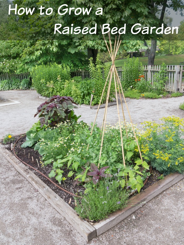 How To Start A Raised Bed Garden For Your Veggies