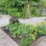 How to Make a Raised Bed Garden