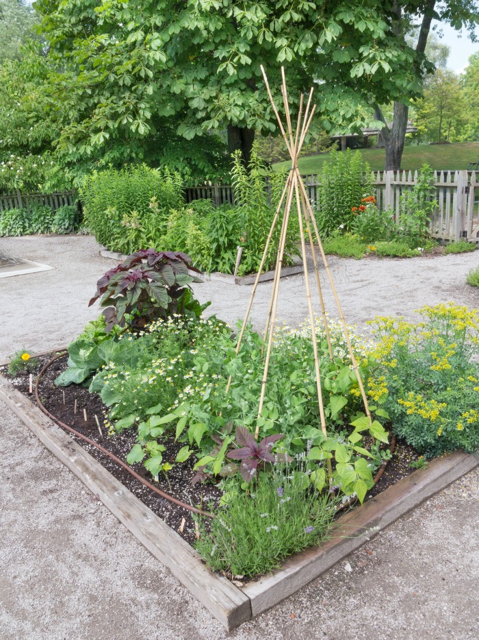 How to Make a Raised Bed Garden