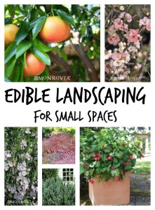 Edible landscape ideas for small spaces. Make that area do double duty