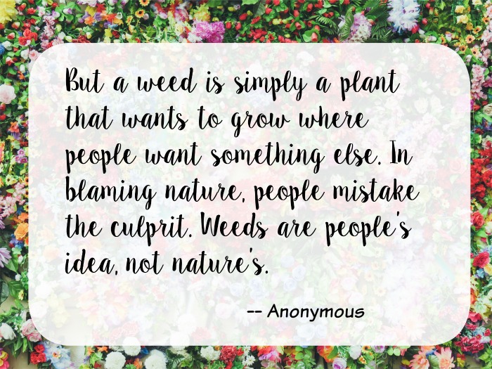 weeds-are-plants-garden-quote