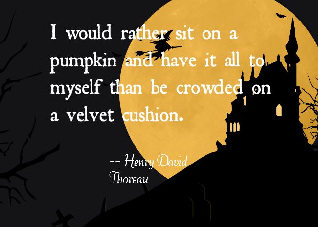 velvet cushion pumpkin halloween quote
