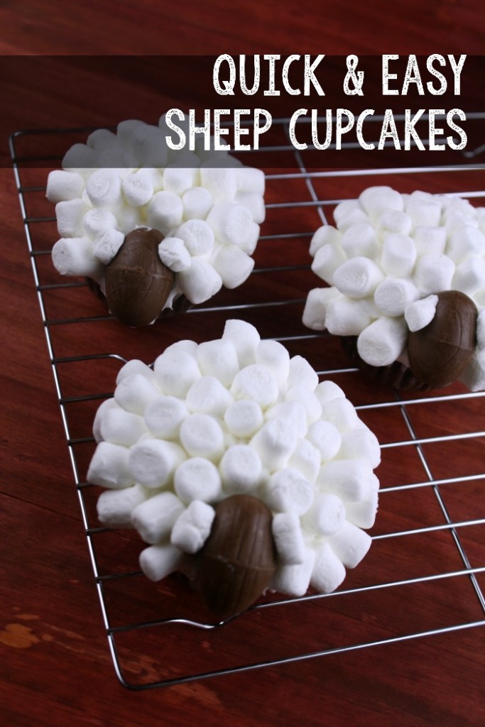 Make these super cute sheep cupcakes quickly and easily.