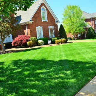 How to care for your lawn year round