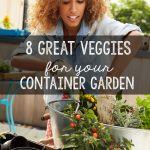 Great vegetables to grow in your container garden