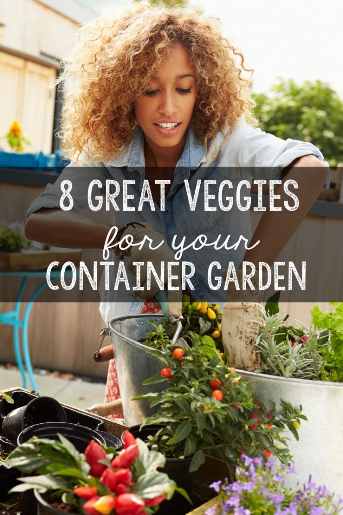 Great vegetables to grow in your container garden