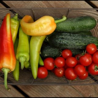 Grow your own veggies in a container garden
