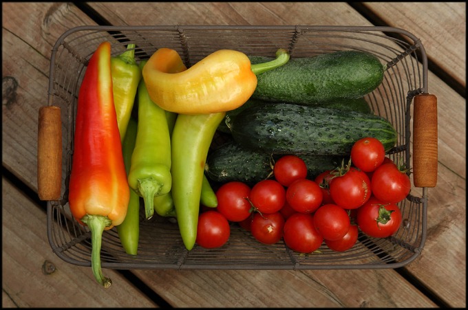 8 Great Vegetables to Grow in Your Container Garden