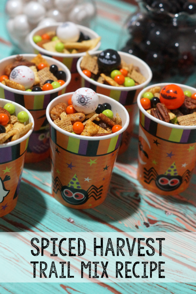 Spiced Harvest Trail Mix Recipe