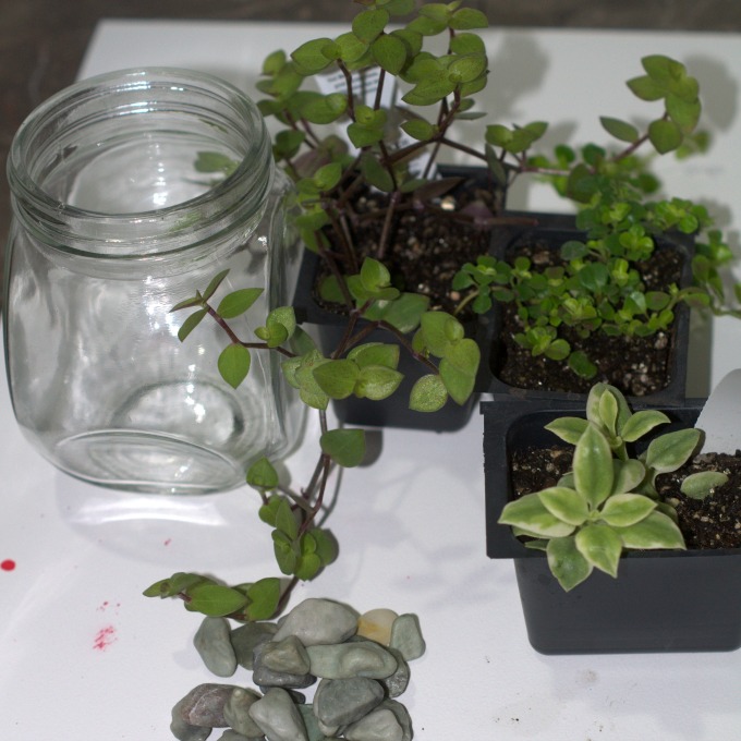 Supplies to make a mini terrarium