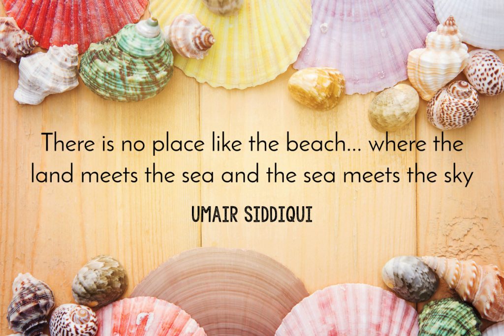 Omar Siddiqui beach quote