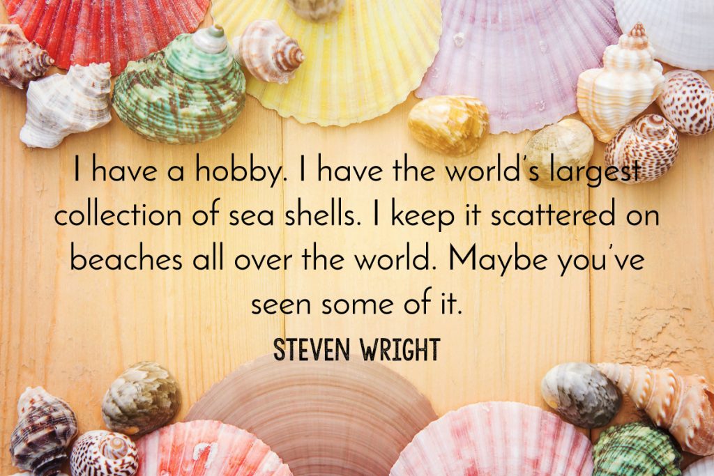 Steven Wright Beach Quote