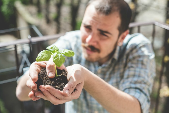 Check out your plants for signs of disease beore planting them. 