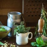 How to grow fresh herbs for your kitchen