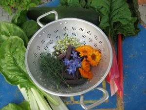 Edibl flowers ready for a salad