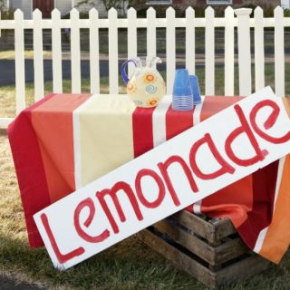 Everything you need for the best lemonade stand ever