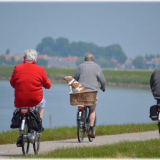 senior citizens riding bikes