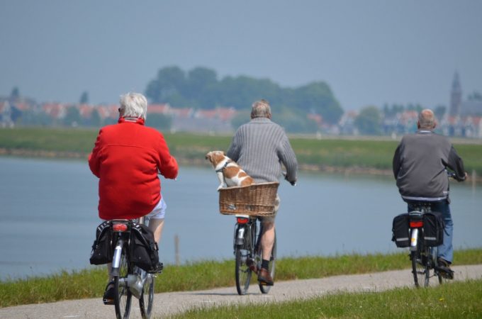 senior citizens riding bikes
