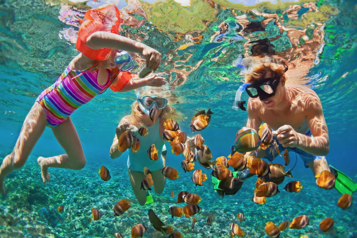 Family snorkeling with a school of clownfish