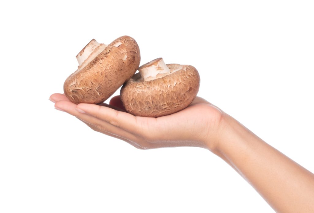 Mouthwatering Portobello Mushroom Burger Recipe