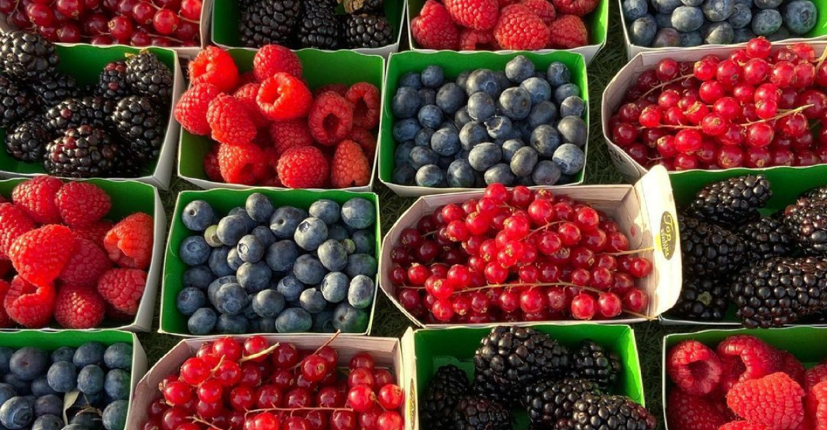 berry s by Kirsten Ivors