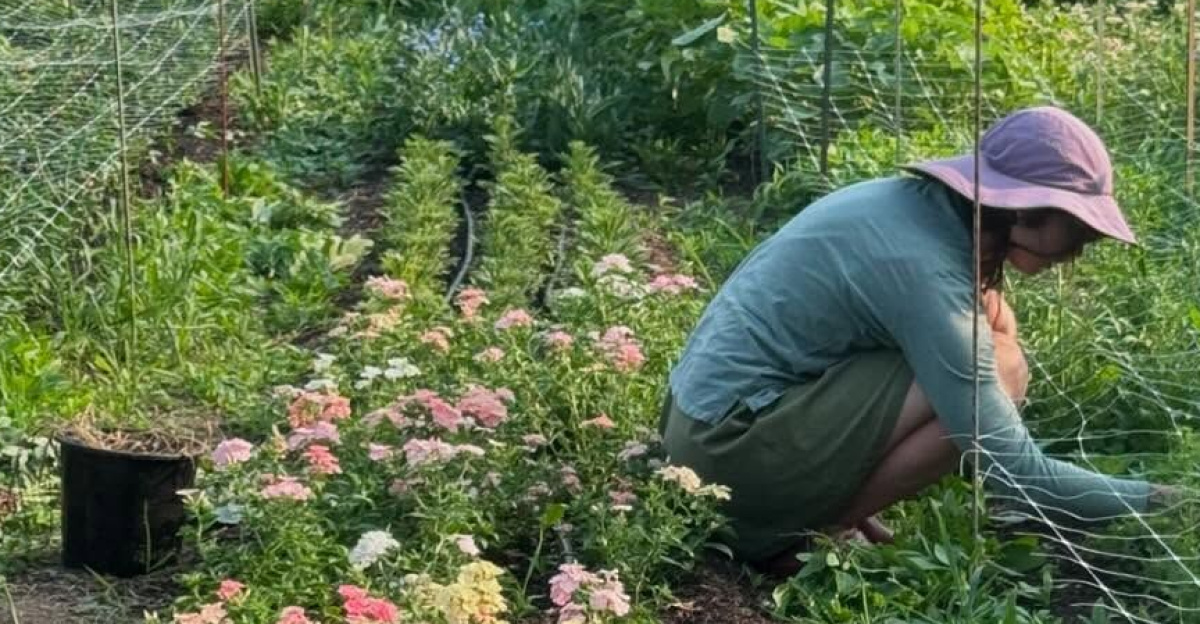Little farm update! We’ve been so whirlwind busy💨🌀. It’s that point in the summer where the exhaustion sets in but all the beauty and joy is finally abundant. Most days on the farm it’s just me as Em works as a welder weekdays. I’m busy weeding, trellising, harvesting, scrubbing buckets, delivering, etc and em comes home after work and usually gets right to work again on the farm. Trying to find a rhythm is challenging but we are so grateful for all of the lovely support we have had this summ... by Mia