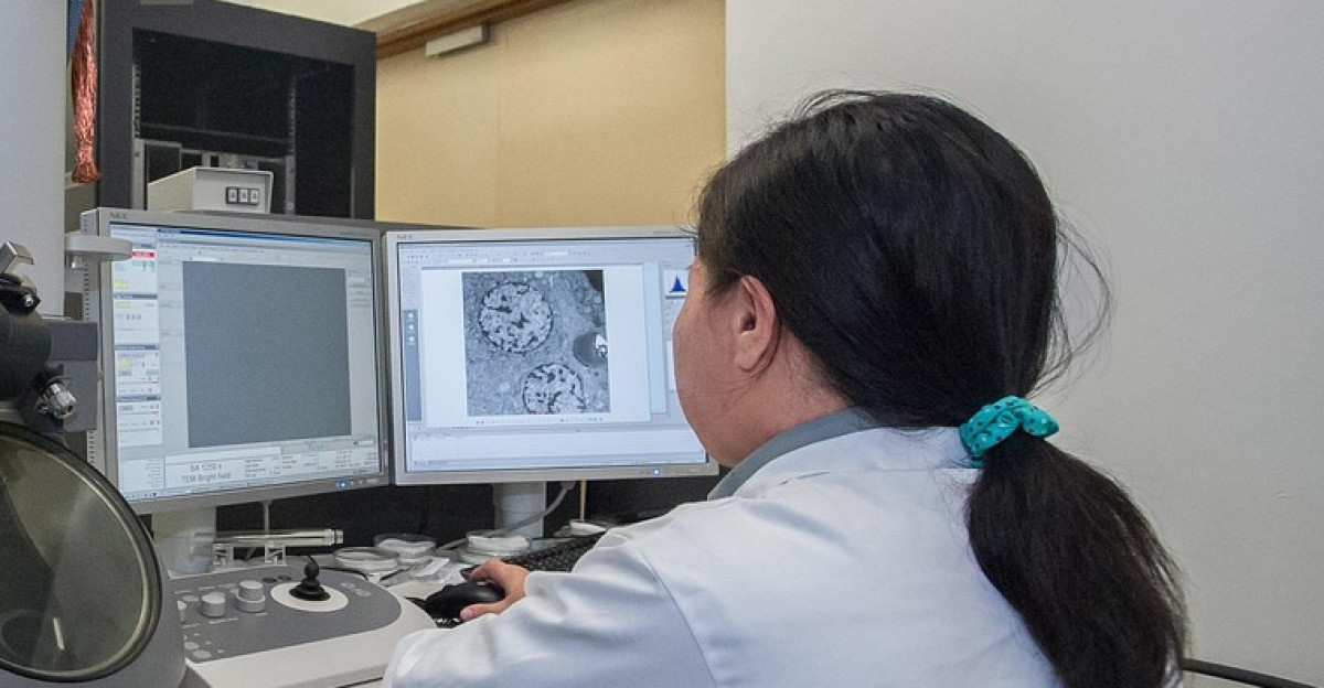 transmission electron microscope universiti malaysia sabah biotechnology research institute gray research