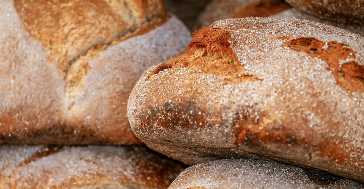 loaf bread loaf of bread fresh baked bread crust crispy natural product food baked goods calories carbohydrates farmers bread bread bread bread bread bread