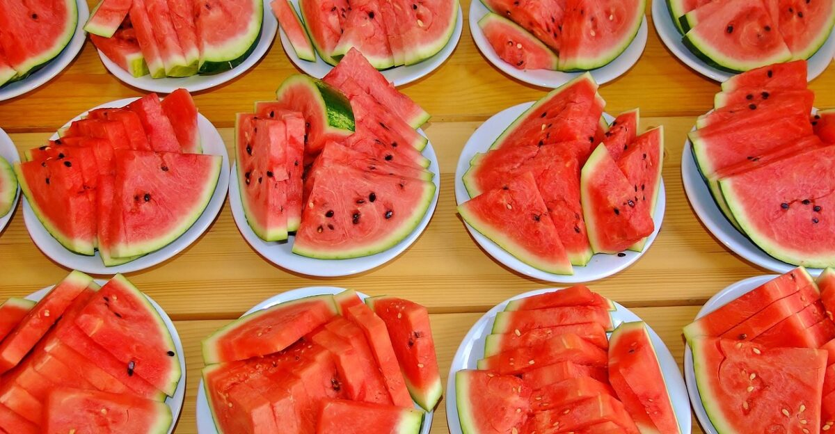 red melon fruit sliced melon red pumpkin melons