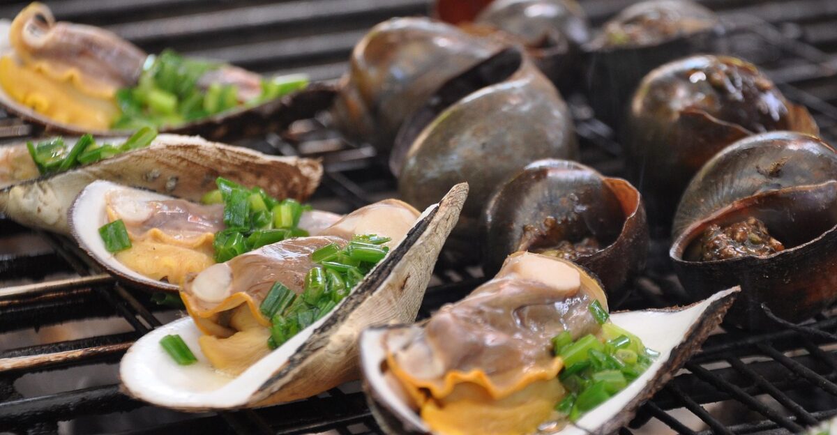 grilled scallops seafood grilled seafood shellfish vietnamese food street food seafood seafood vietnamese food vietnamese food vietnamese food vietnamese food vietnamese food street food street food street food