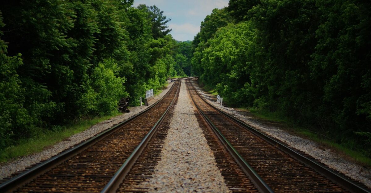 Long perspective of railroad tracks lined by dense green forest under clear sky