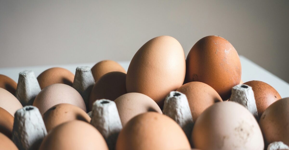 shallow focus photography of brown eggs