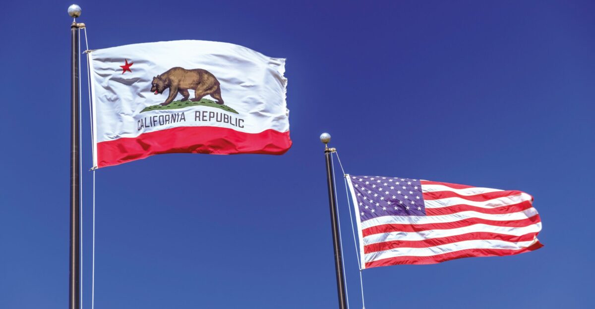 waving U S A flag
