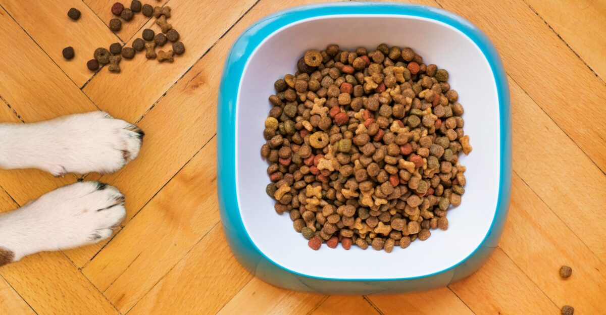 brown peanuts in blue plastic bowl