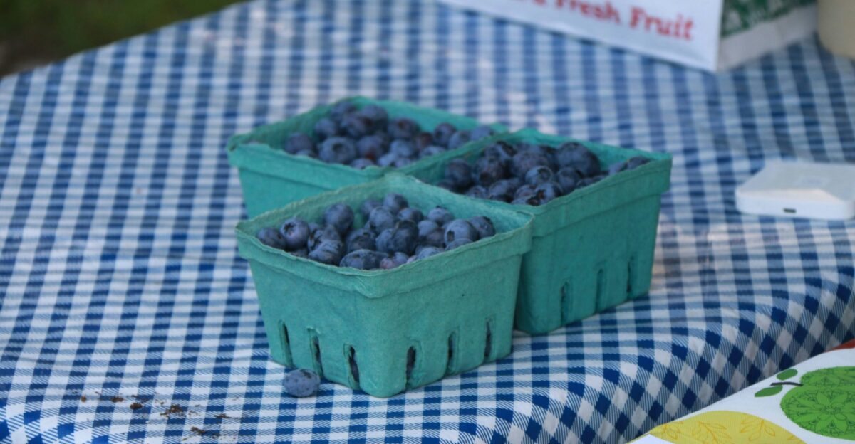 green plastic container on blue and white checkered textile