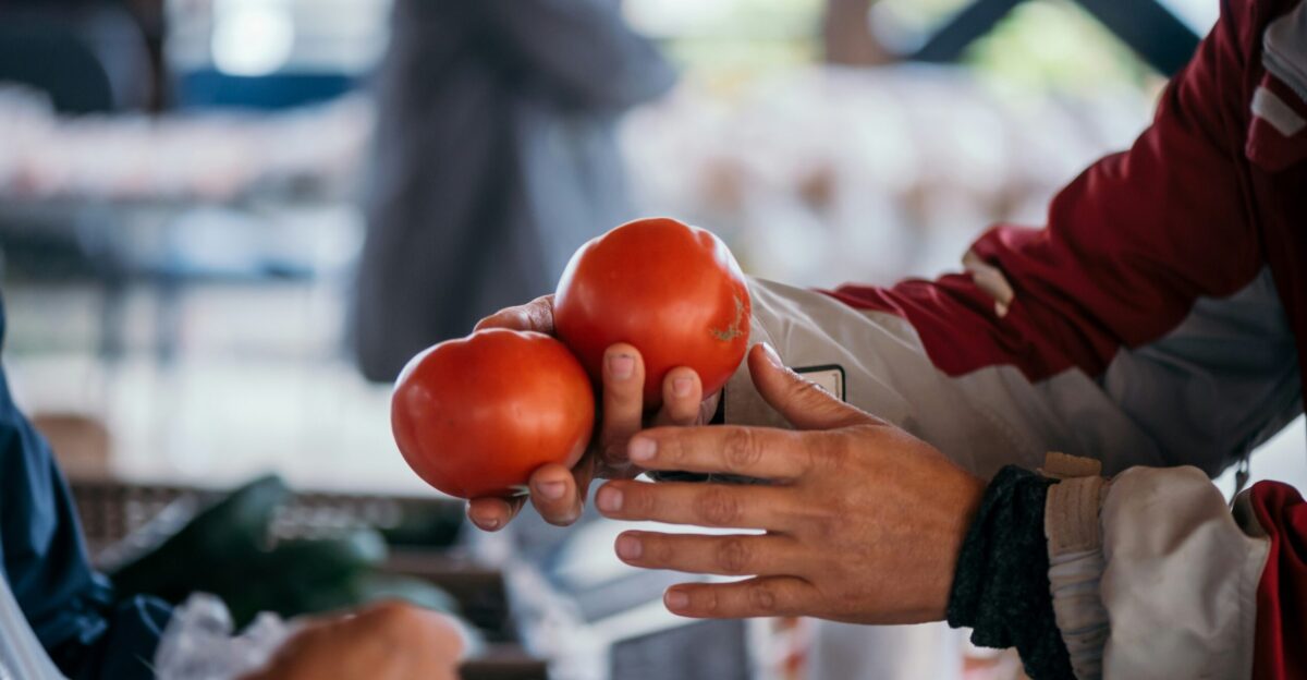 a person holding three tomatoes in their hands