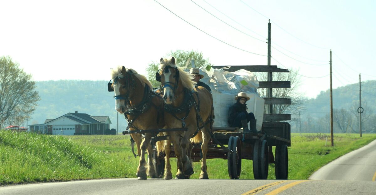 Horses pulling a carriage down a road