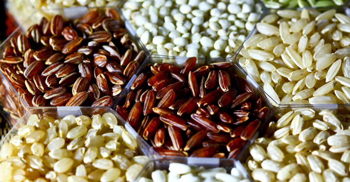 List of rice cultivars - Wikipedia